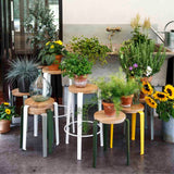 TIPTOE LOU Stool ロースツール
