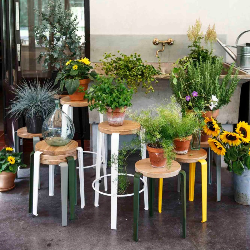 TIPTOE LOU Stool ロースツール