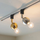 スポットライト Kimales キマレス