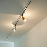 スポットライト Kimales キマレス