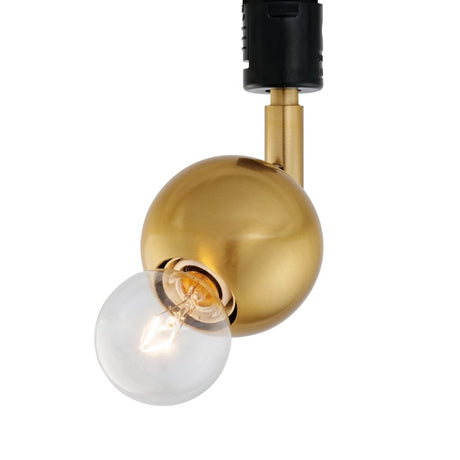 スポットライト Kimales キマレス