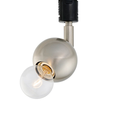 スポットライト Kimales キマレス