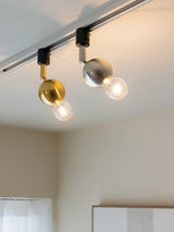 スポットライト Kimales キマレス