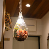 ペンダントライト ボタニック ハンギングライト with フェイクグリーン BOTANIC HANGING LIGHT with FAKEGREEN