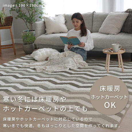 洗える抗菌防臭防ダニ デザインラグ