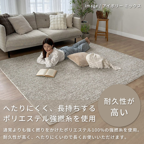 洗える抗菌・防臭・防ダニ ミックスラグ