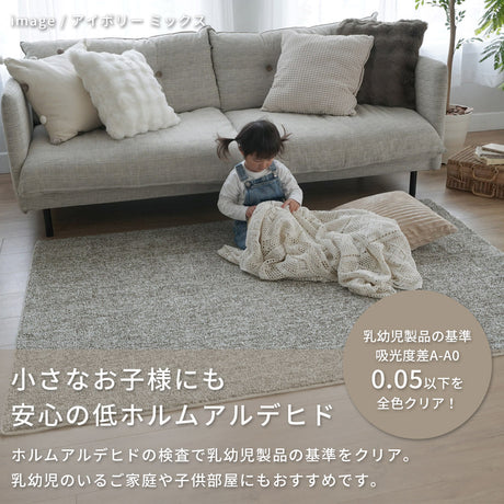洗える抗菌・防臭・防ダニ ミックスラグ