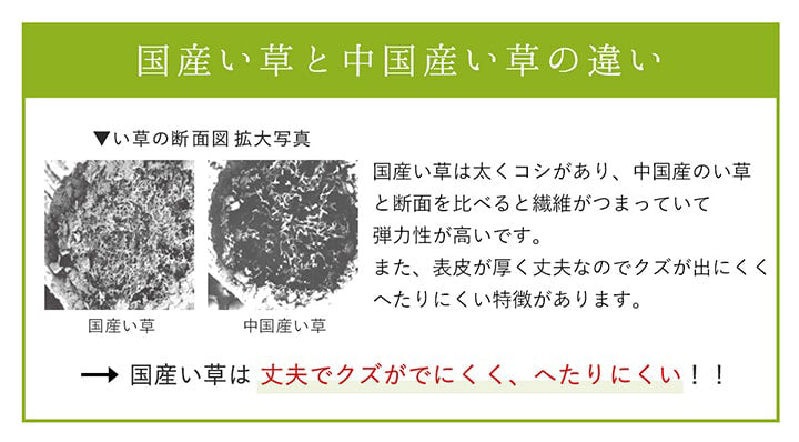 モダンなデザインのい草ラグ シンプルな市松柄 和室・洋室どちらにもあう