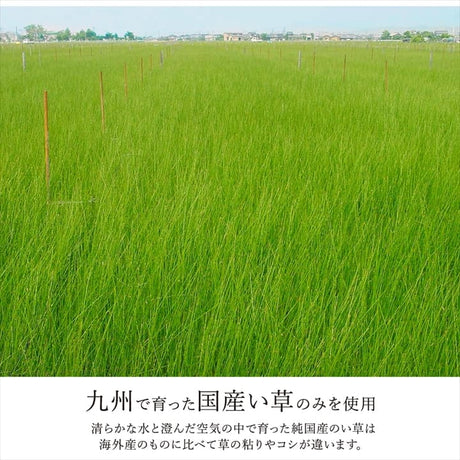 市松柄で洋室や和室にも敷きやすいデザインのい草ラグ 裏貼り加工