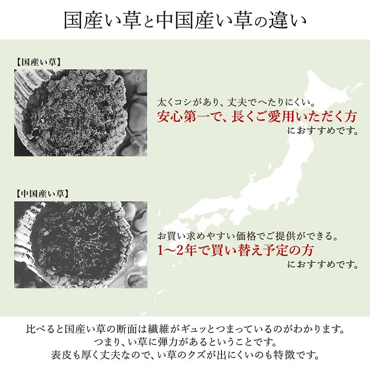 国産掛川織のい草上敷き ナチュラルない草ラグ 松川 江戸間サイズ