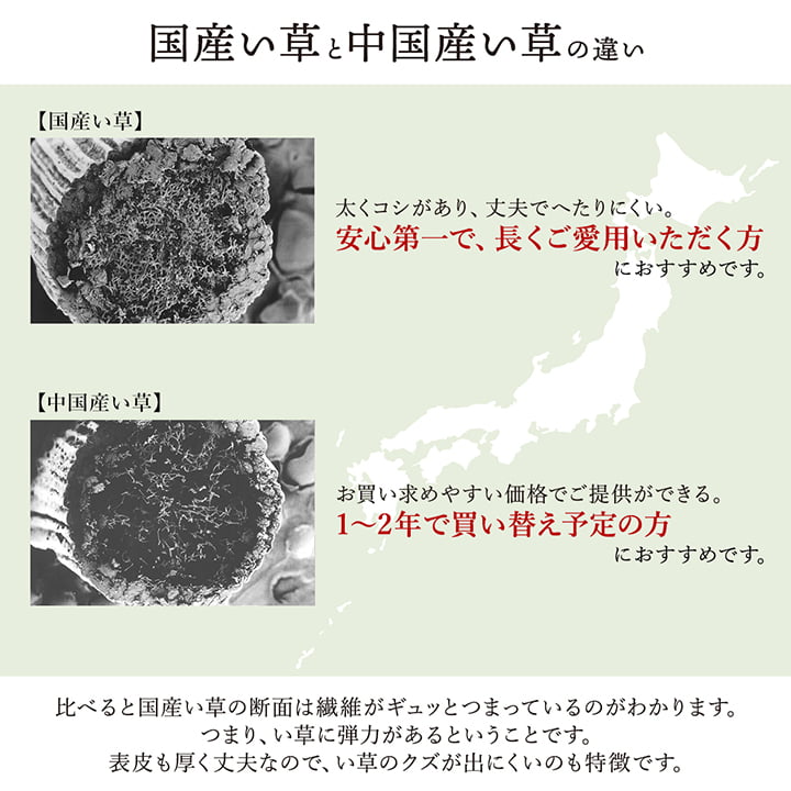 美しいグラデーションのい草ラグ 草原と海を表現した掛川織の花ござ