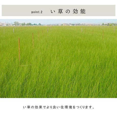 九州産い草の置き畳 フローリングに置くだけで懐かしい畳の香り 厚み約15mmの3層構造