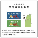 九州産い草の置き畳 フローリングに置くだけで懐かしい畳の香り 厚み約30mmの4層構造