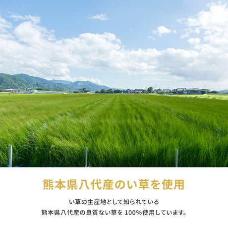 国産のい草と日本の職人の技術が織りなす引目織の上敷き 琥珀 本間サイズ