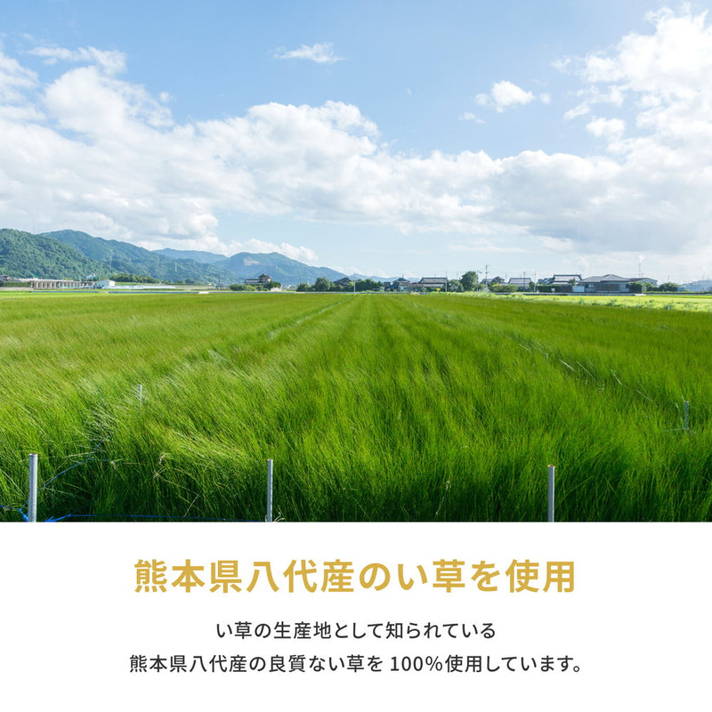 国産のい草と日本の職人の技術が織りなす引目織の上敷き 琥珀 本間サイズ