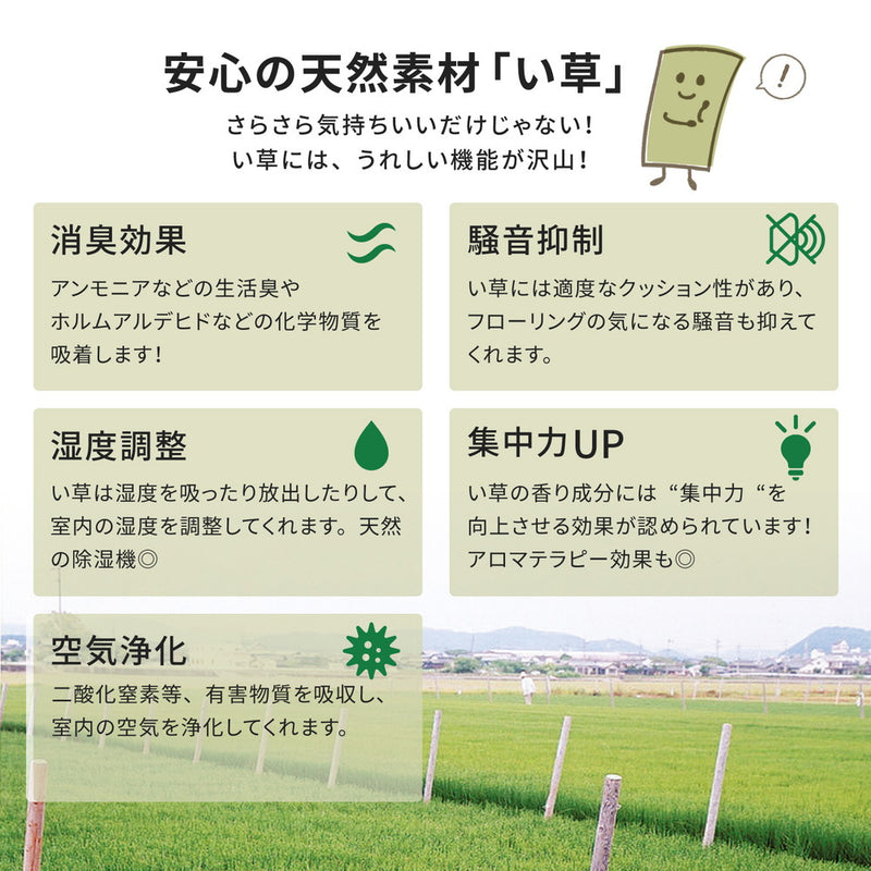 い草上敷き 雅（みやび）本間サイズ