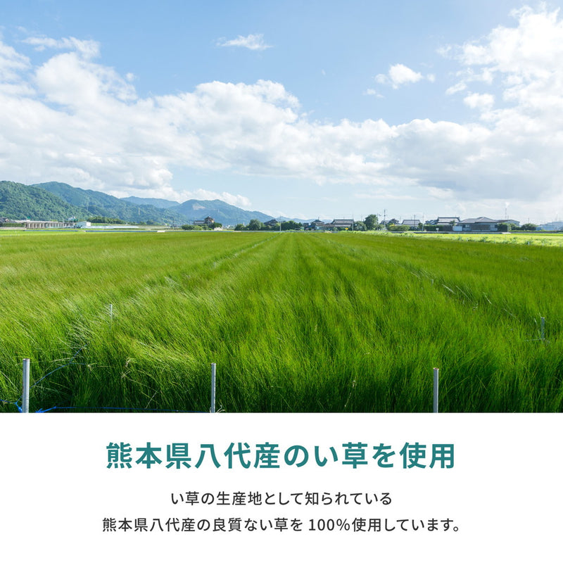 高品質な国産のい草と日本の職人の技術が織りなす双目織の上敷き 天草 三六間サイズ