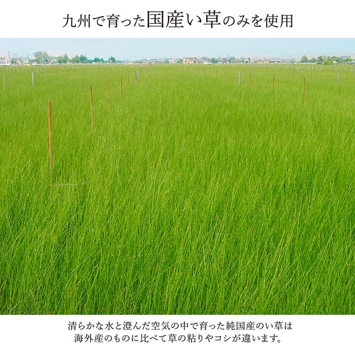 織りを組み合わせたパッチワーク風のい草ラグ