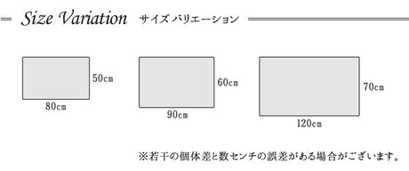 ホワイトベースの鮮やか玄関マット  ダンテ