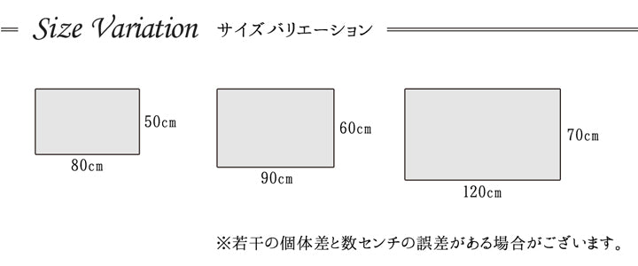 ホワイトベースの鮮やか玄関マット  ダンテ