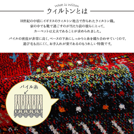 ギャッベ柄デザインの玄関マット トルコ製ウィルトン織り玄関マット イビサ