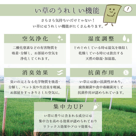 上質な国産い草のみを使用したい草ラグ 吉兆