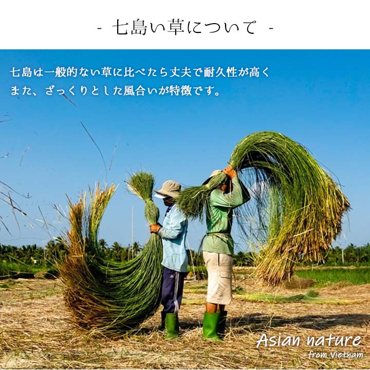 天然素材のい草スリッパ  22.5～25cm（ギフトラッピング対応）