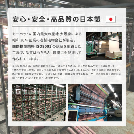 大きめサイズのカーペット 軽量で持ち運び簡単 江戸間1～10畳