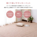 大きめサイズのカーペット 軽量で持ち運び簡単！ 本間2～8畳