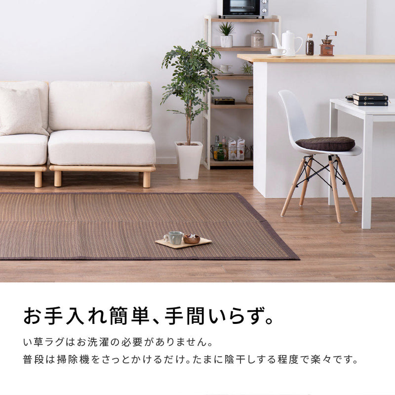 シンプルなデザインのい草ラグ 複数の染めい草を使用 南風