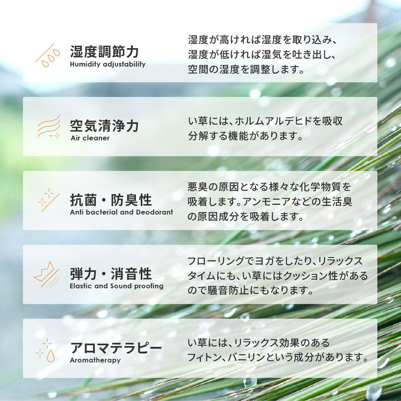 シンプルなデザインのい草ラグ 複数の染めい草を使用 南風