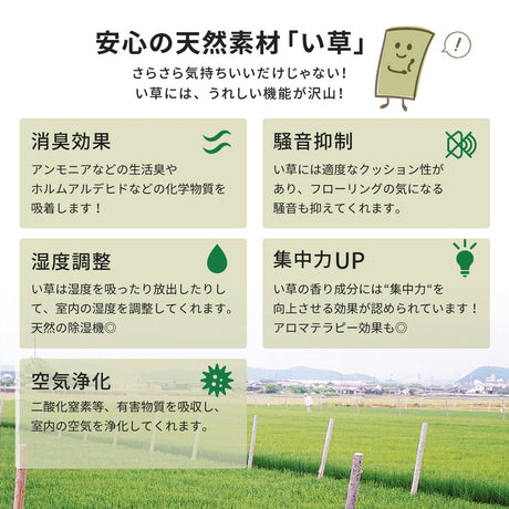 上質な国産い草のみを使用したい草ラグ 右京