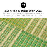 和モダンテイストのい草ラグ 中材にウレタンを約8mm入れた3層構造 クレパス