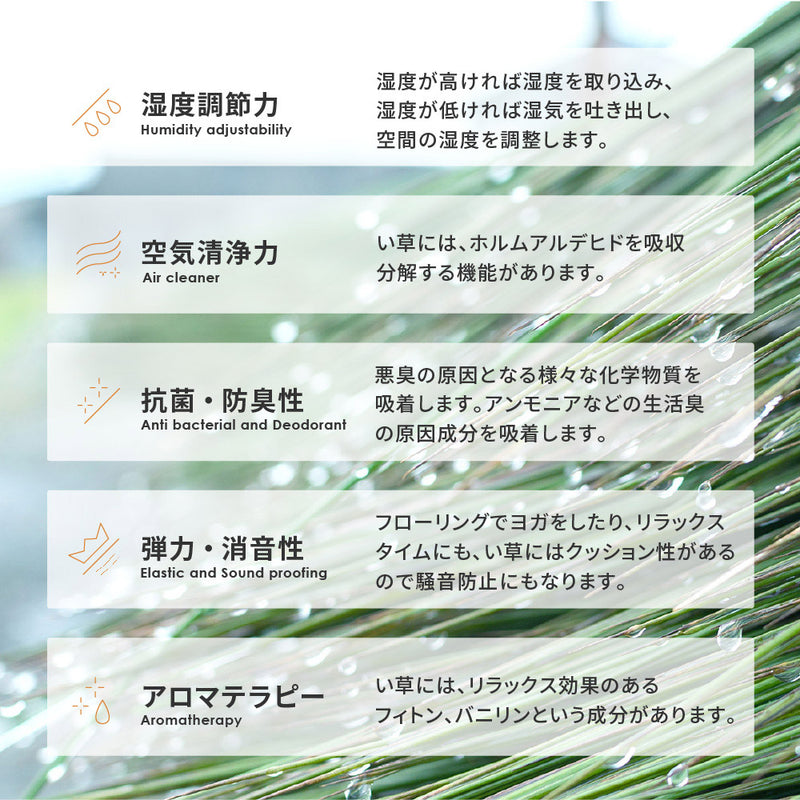 和モダンテイストのい草ラグ クレパス 中材にウレタンを約8mm入れた3層構造