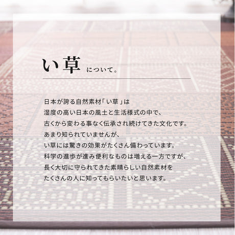 幾何柄と高級感を表現したい草ラグ 伊勢型紙の繊細な柄を表現 伊勢 裏貼り