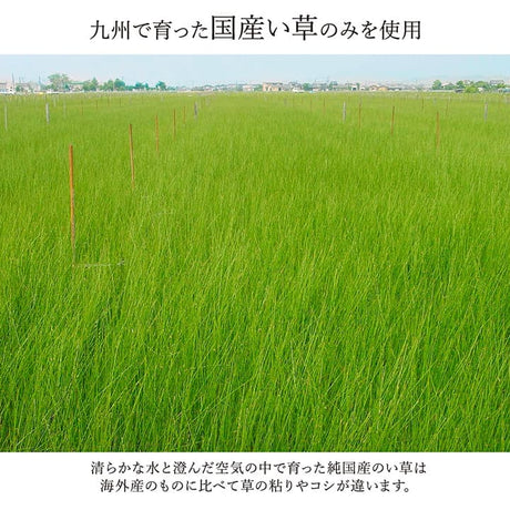 モダンデザインのい草ラグ 日本の職人により作られた和の美しさを持つ ランクス 裏貼り加工