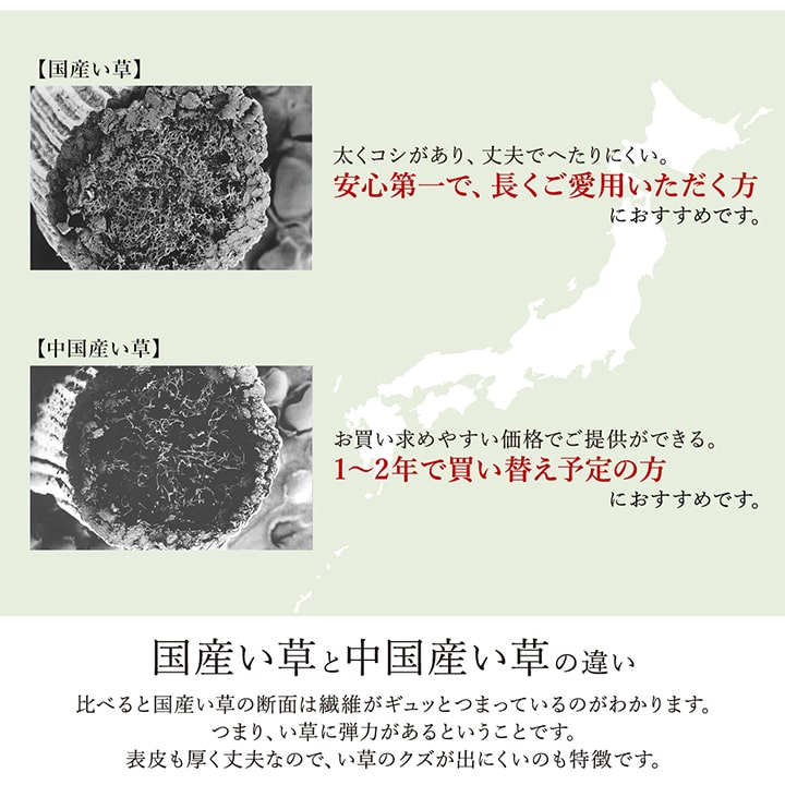 ウレタン入りふっくらい草ラグ シンプルモダンでどんなお部屋にも合う