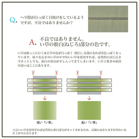 織りで市松柄を表現したシンプルなデザインの国産い草ラグ