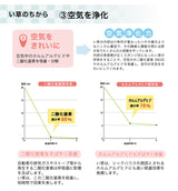 はっ水加工のシンプルない草ラグ ウレタン入りでふっくらとしたふみ心地