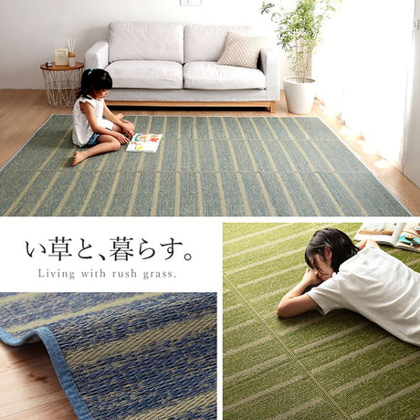 シンプルなボーダー柄のい草ラグ シルフ