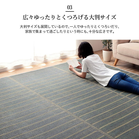 シンプルなボーダー柄のい草ラグ シルフ