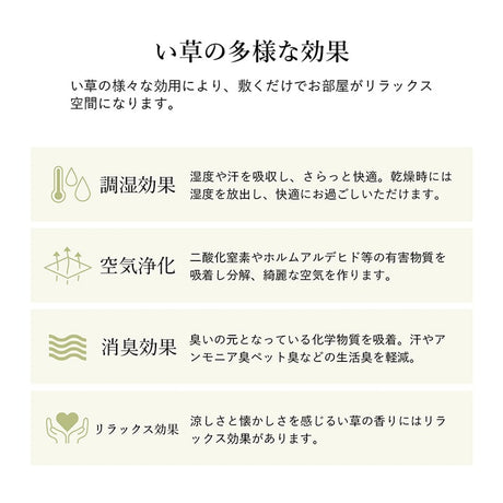 シンプルなボーダー柄のい草ラグ シルフ