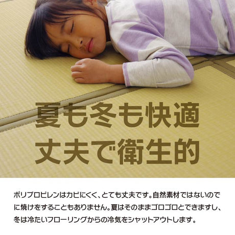 水拭きできるのでペットのいるご家庭にぴったりな置き畳 スカッシュ 約82×82cm