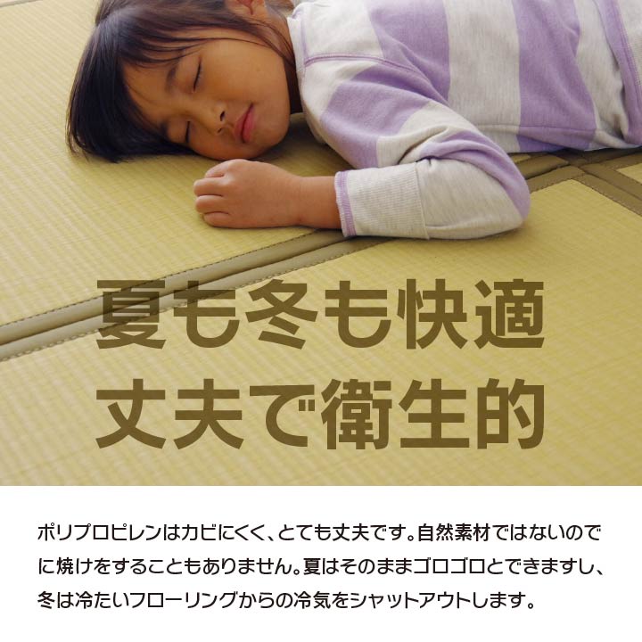 水拭きできるのでペットのいるご家庭にぴったりな置き畳 スカッシュ 約82×82cm