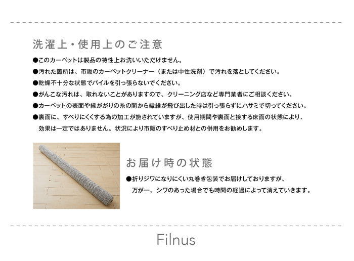 自然界の光の美しさを色の密度で表現した防ダニ加工のおしゃれなラグ Filnus - フィルナス