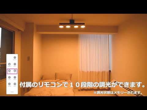 Garden 家具・インテリア ルマーニ シーリングライト 間接照明 ゴールド